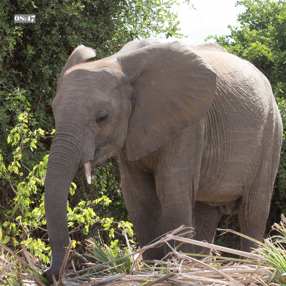 Bright overhead light